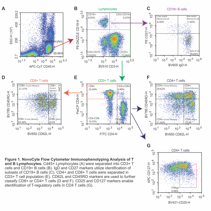 13-color flow cytometry